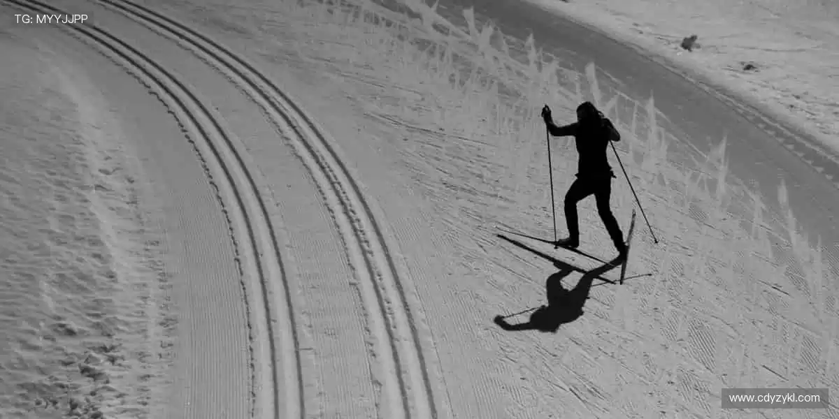 🎯精准定制,专属你的运动装备库!🔧